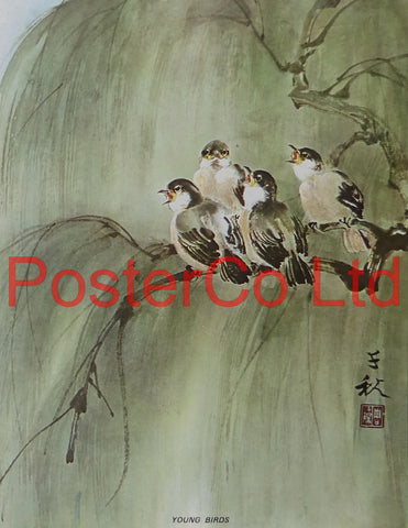 Young Birds (Oriental Art) - Chow Chian-Chu & Chow Leung Chen-Ying - Framed Plate - 16"H x 12"W