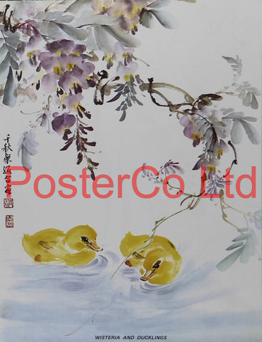 Wisteria And Ducklings (Oriental Art) - Chow Chian-Chu & Chow Leung Chen-Ying - Framed Plate - 16"H x 12"W