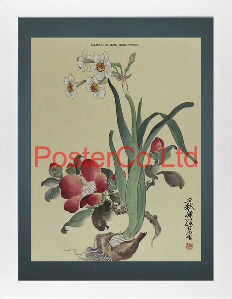 Camellia and Narcissus (Oriental Art) - Chow Chian-Chu & Chow Leung Chen-Ying - Framed Plate - 16"H x 12"W