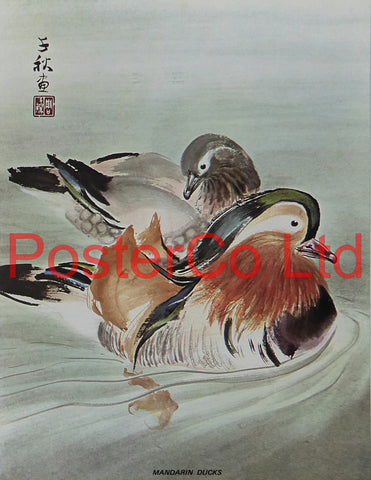 Mandarin Ducks (Oriental Art) - Chow Chian-Chu & Chow Leung Chen-Ying - Framed Plate - 16"H x 12"W