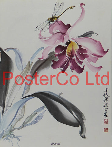 Orchid (Oriental Art) - Chow Chian-Chu & Chow Leung Chen-Ying - Framed Plate - 16"H x 12"W