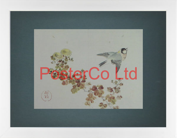 Chinese Great tit and Chrysanthemums (Oriental Art) - Koyo - Framed Plate - 12"H x 16"W