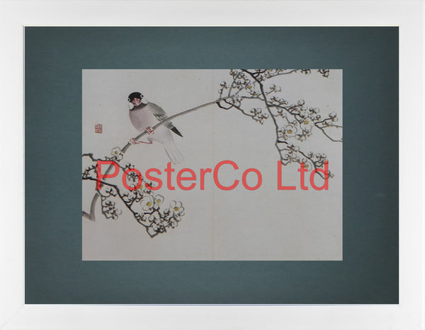 Java Sparrow and Branch of Plum (Oriental Art) - Koyo - Framed Plate - 12"H x 16"W