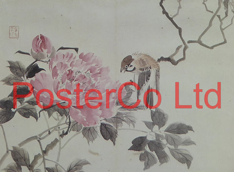 Tree Sparrow and Tree Peony (Oriental Art) - Koyo - Framed Plate - 12"H x 16"W