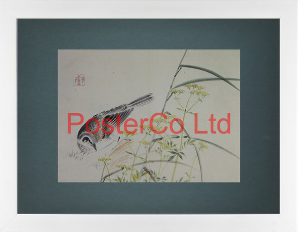 Brown eared Bulbul and Patrinia - Koyo (Oriental Art) - Koyo - Framed Plate - 12"H x 16"W