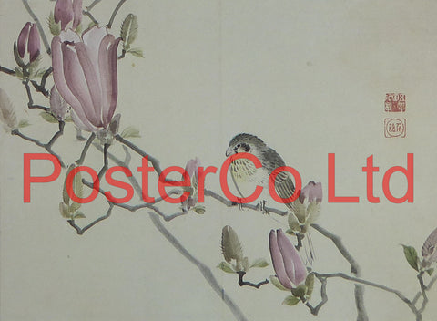 Masked Bunting and Magnolia Liliflora - Koyo (Oriental Art) - Koyo - Framed Plate - 12"H x 16"W