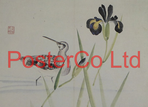 Great Knot and Iris (Oriental Art) - Koyo - Framed Plate - 12"H x 16"W