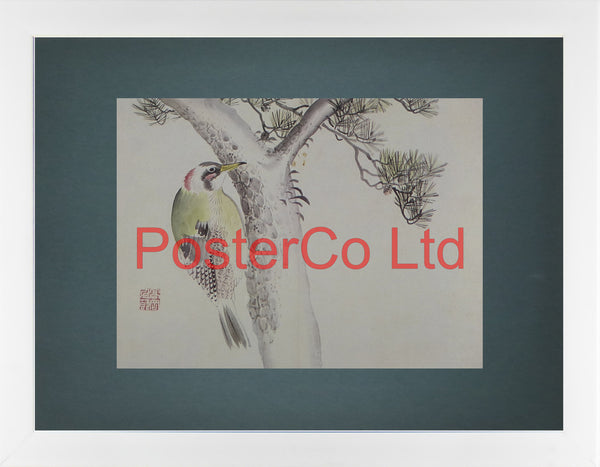 Japanese Green Woodpecker and Red Pine Tree (Oriental Art) - Koyo - Framed Plate - 12"H x 16"W