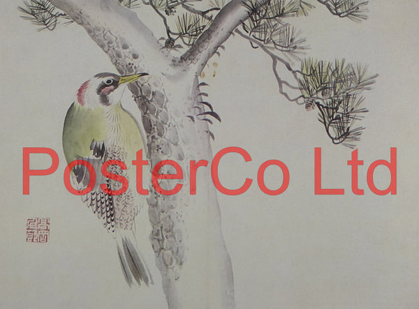 Japanese Green Woodpecker and Red Pine Tree (Oriental Art) - Koyo - Framed Plate - 12"H x 16"W