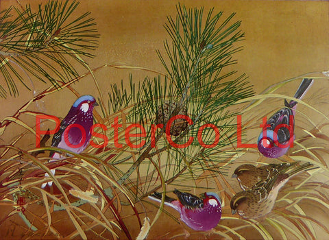 Five Birds in a Pine Tree (Oriental Art) - Rakusan Tsuchiya - Framed Plate - 12"H x 16"W