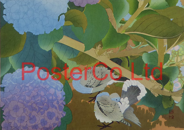 Hydrangea and Doves (Oriental Art) - Rakusan Tsuchiya - Framed Plate - 12"H x 16"W