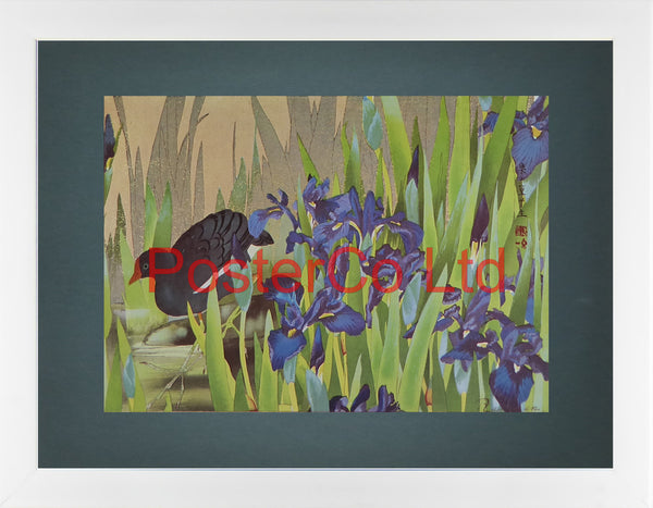 Irises (Oriental Art) - Rakusan Tsuchiya - Framed Plate - 12"H x 16"W