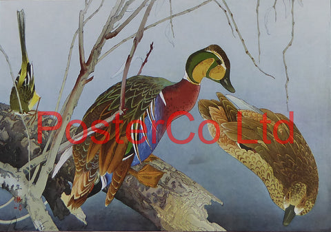 Wild Ducks (Oriental Art) - Rakusan Tsuchiya - Framed Plate - 12"H x 16"W