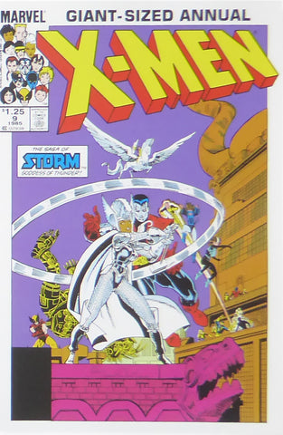 X Men   The saga of Storm (Marvel Comics)    Comic Cover Art