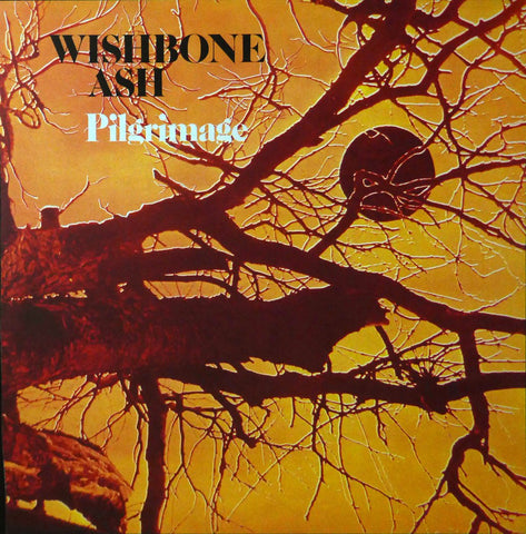 Wishbone Ash Pilgrimage (Album Cover Art) Framed Print