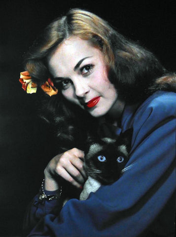 unknown lady in blue tyop with Cat  