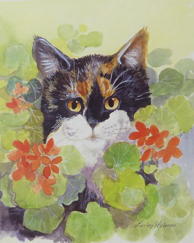 Tortoiseshell cat in geraniums by Lesley Holmes (1)  