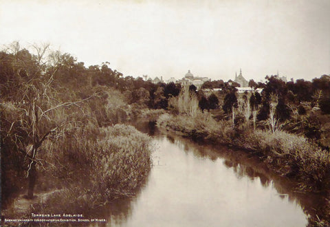 Torrens Lake Adelaide showing University Conservation Exhibition School of Mines  (Original 1920's Print)