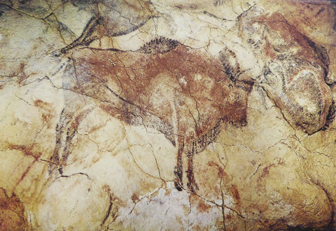 Bison Unknown Iberian Artist