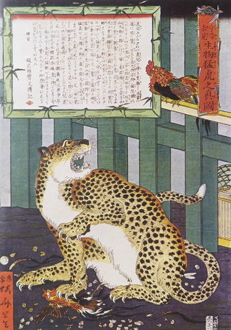 True picture of a live wild tiger,never seen before from olden times until today Kyosai