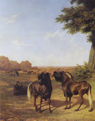White tailed Gnus Jacques Laurent Agasse