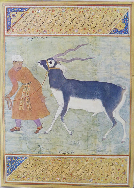 A Black Buck led by his keeper Manohar