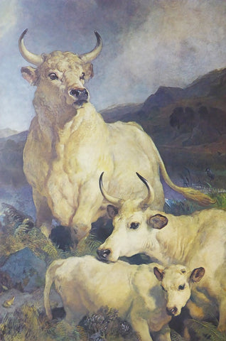 Wild Cattle of Chillingham Sir Edwin Landseer