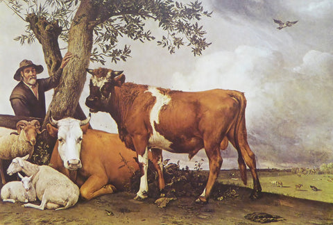 The young bull Paulus Potter