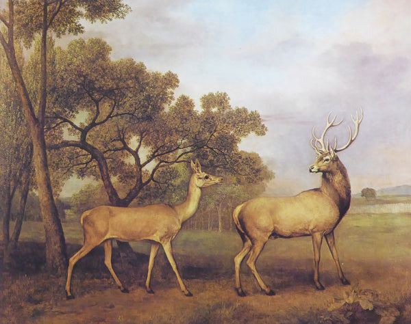 A Red Deer Buck & Doe George Stubbs