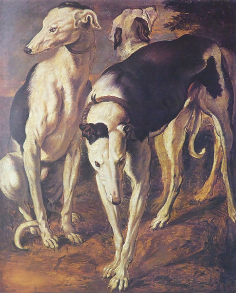 Three greyhounds Frans Snyders