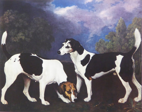 A Hound and Bitch in a landscape  George Stubbs