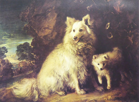 Pomeranian Bitch and puppy Thomas Gainsborough