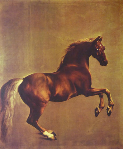 Whistlejacket (Race Horse) George Stubbs