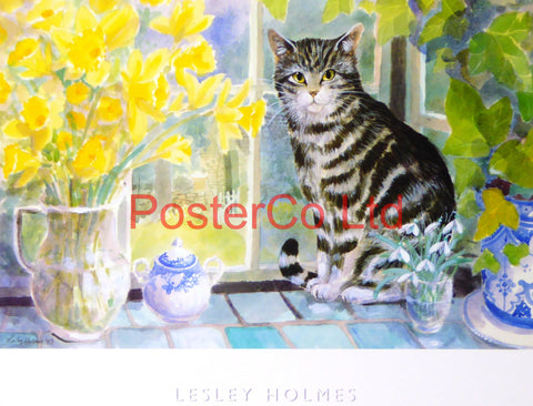 Tabby cat and Teapot (1) Lesley Holmes