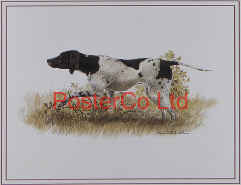 Pointer (Dog) - Joel Kirk - Felix rose 1988 - Framed Print - 12"H x 16"W"