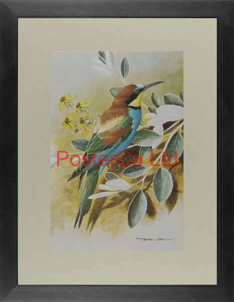 Bee Eater (Lenicio) - Basil Ede - Royle 1975 - Framed Vintage Poster Print - 16"H x 12"W