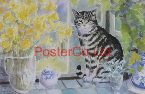 Tabby cat and Teapot - Lesley Holmes - Framed Poster Print - 12"H x 16"W"