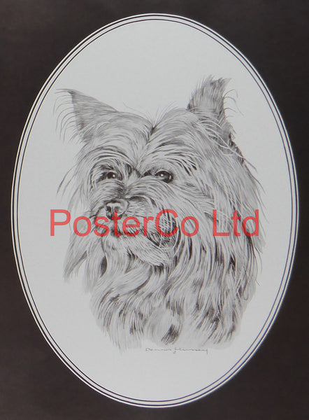 Dog Portrait - Hennesey - Framed Print - 16"H x 12"W