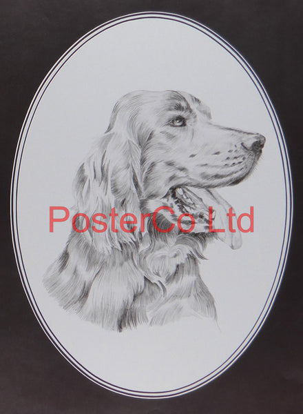 Dog Portrait - Hennesey - Framed Print - 16"H x 12"W