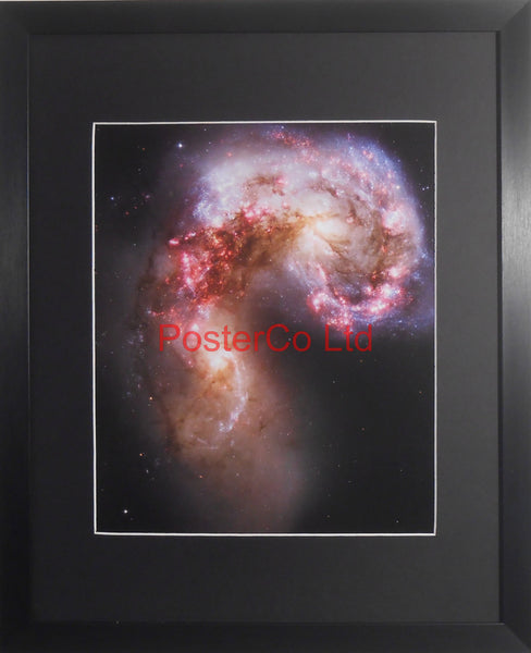 Antennae Galaxies - Hubble Telescope shot - Framed Picture - 20"H x 16"W