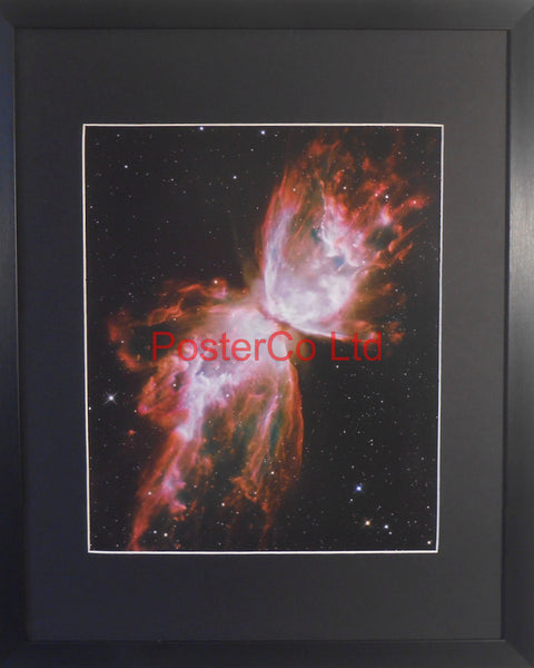 Butterfly Nebula - Hubble Telescope shot - Framed Picture - 20"H x 16"W